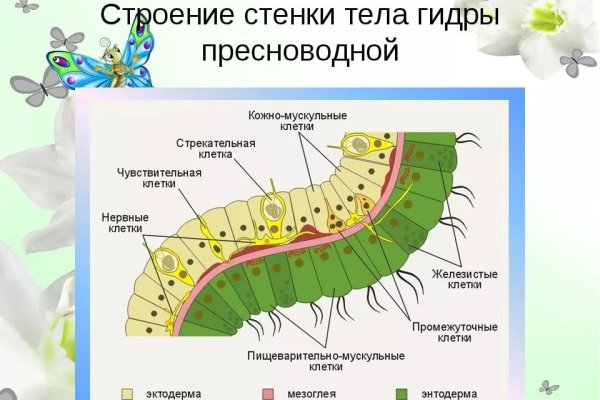 Кракен ссылка зайти